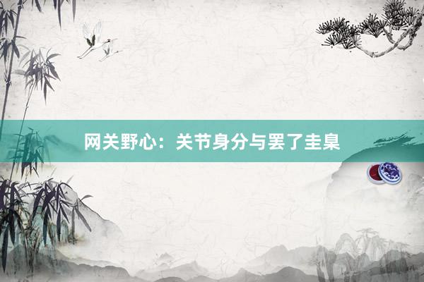 网关野心：关节身分与罢了圭臬